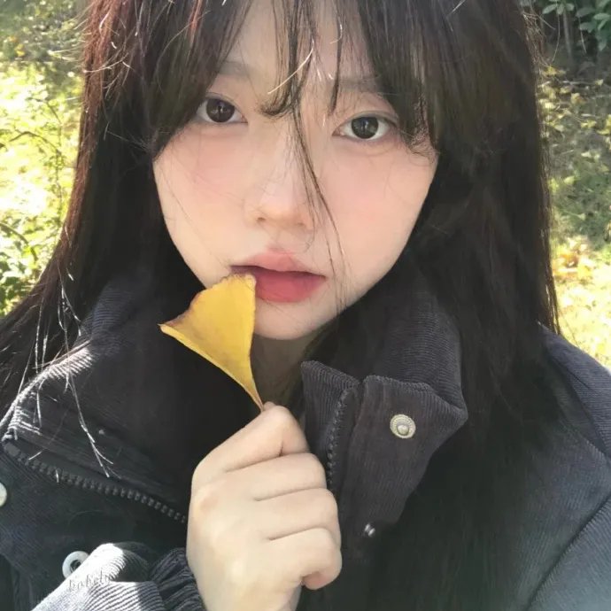 乐游原